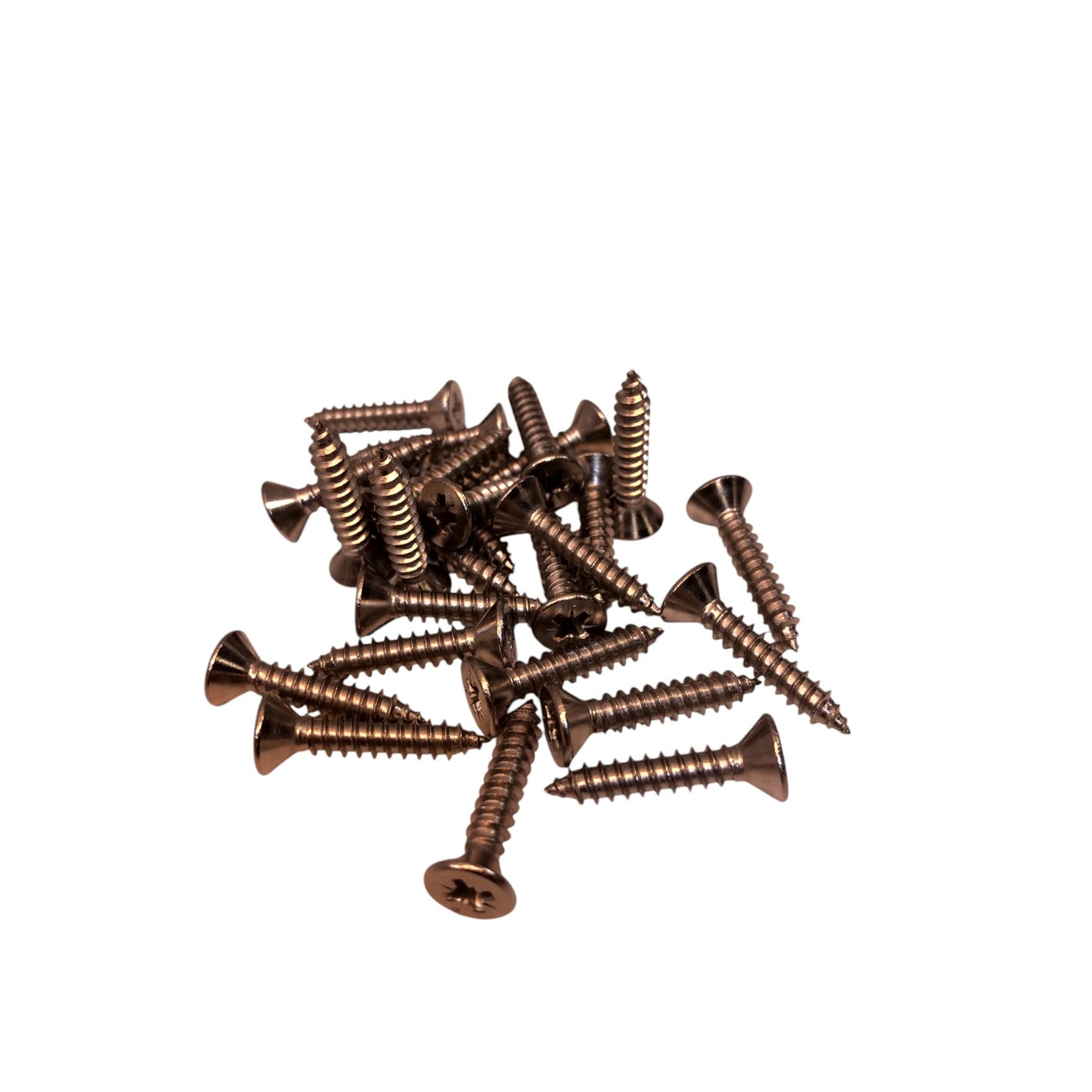 Skruvsats M5 x 25P0Z1 till Certikin bottenavlopp 25 PACK