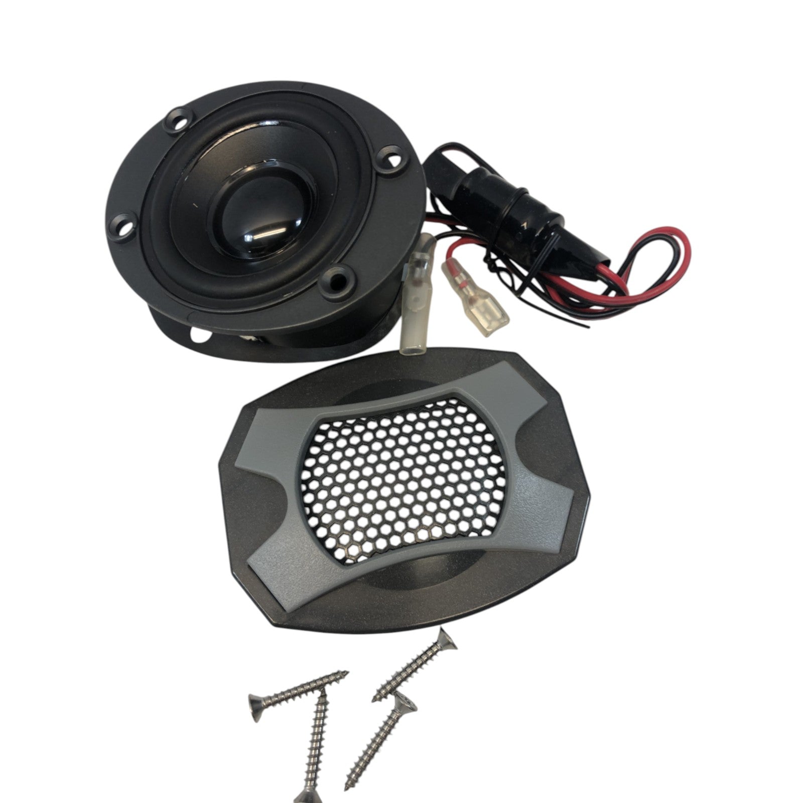 KIT V21 SPEAKER W-SCREWS (2)