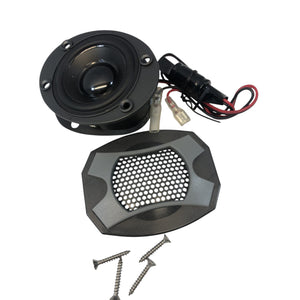 KIT V21 SPEAKER W-SCREWS (2)