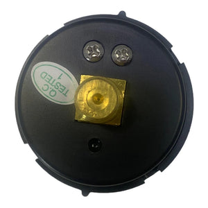 Manometer Sandfilter Triton